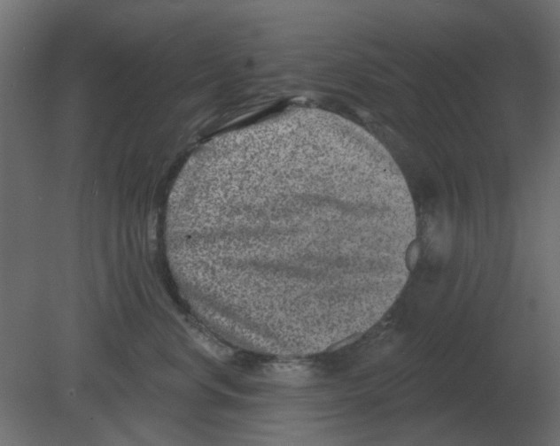 X0000080790668200701122149