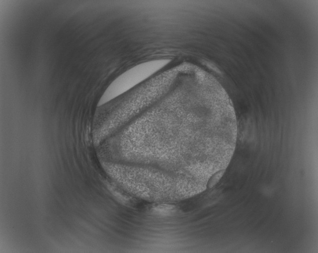 X0000080790669200701122149