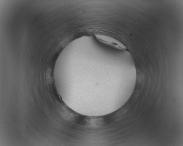 X0000080790670200701122149