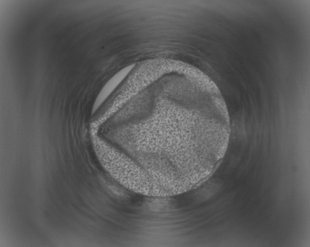 X0000080790671200701122149