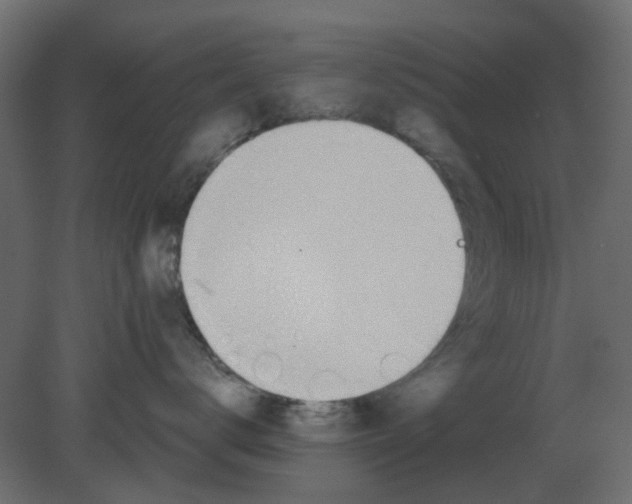 X0000080790672200701122149