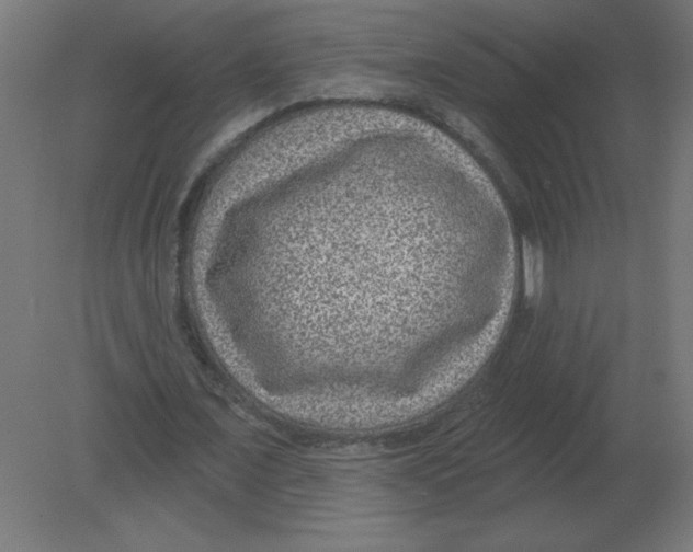 X0000080790675200701122148