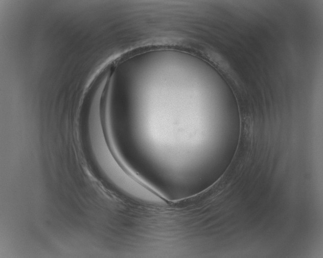 X0000080790676200701122148