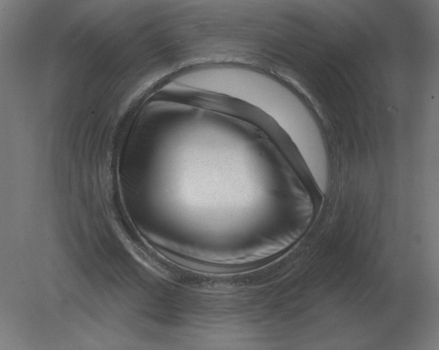 X0000080790677200701122148