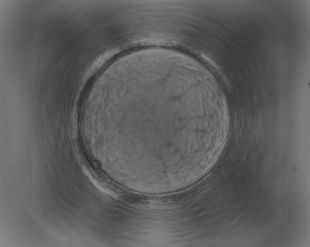 X0000080790678200701122148