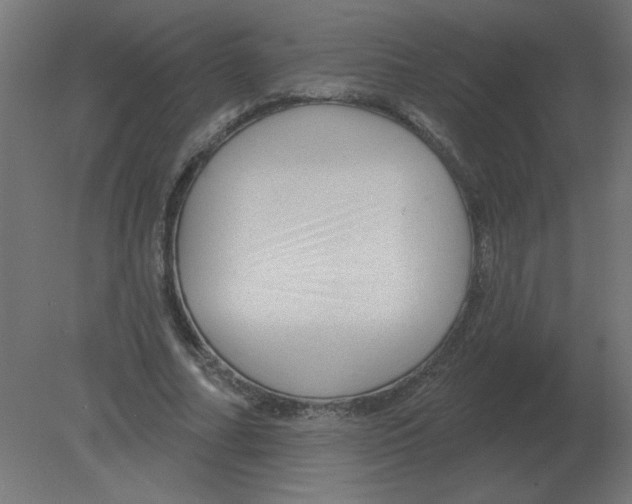 X0000080790682200701122148