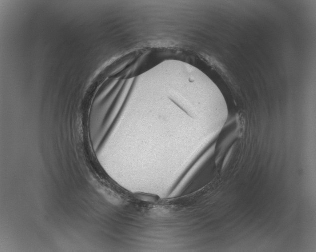 X0000080790684200701122148