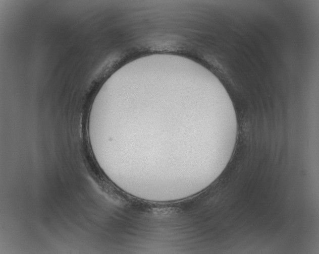 X0000080790686200701122148