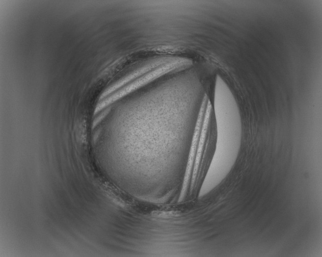 X0000080790689200701122148