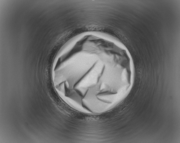 X0000080790690200701122148