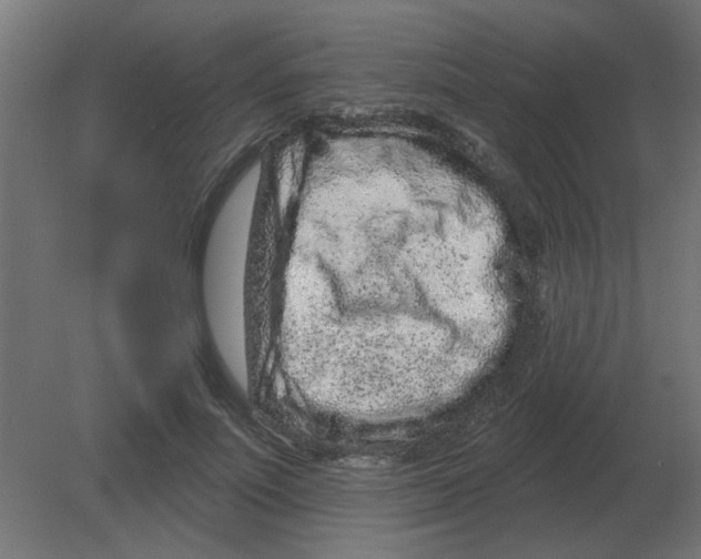 X0000080790691200701122148