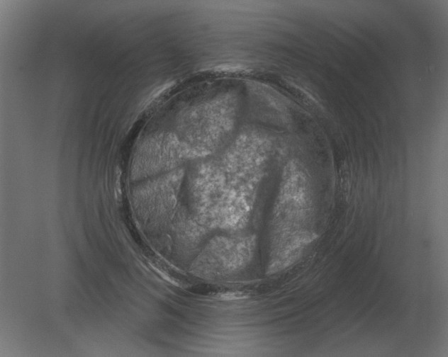 X0000080790692200701122148