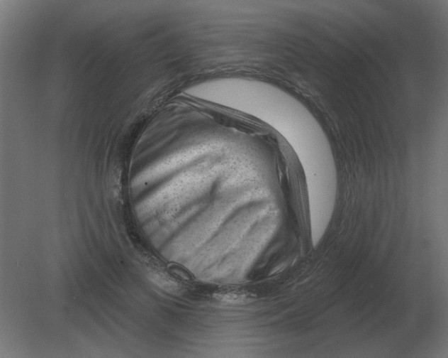 X0000080790693200701122148