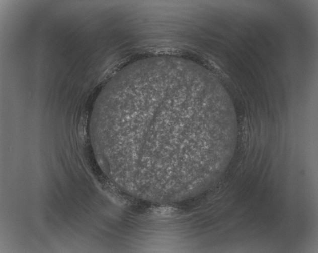 X0000080790695200701122148