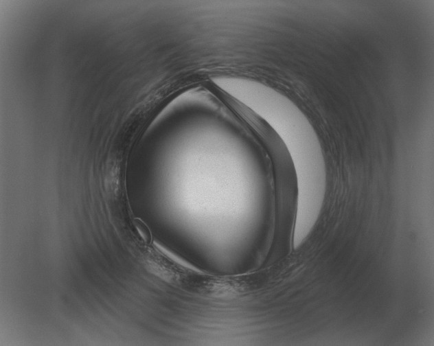 X0000080790697200701122148