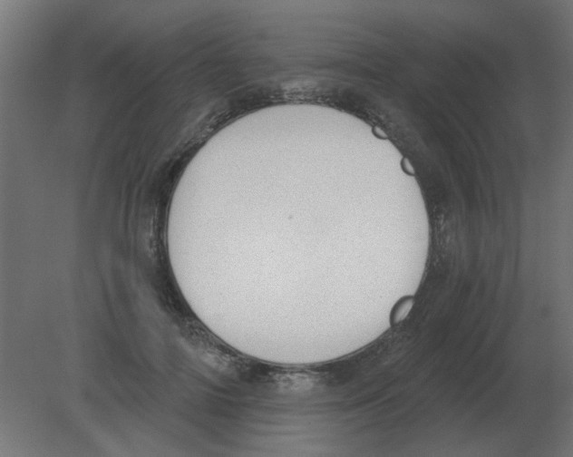 X0000080790698200701122148