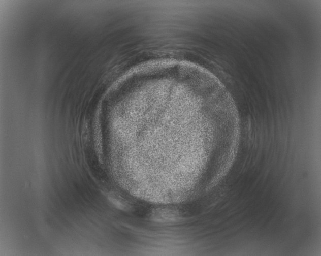 X0000080790699200701122148