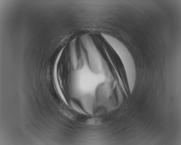 X0000080790700200701122148