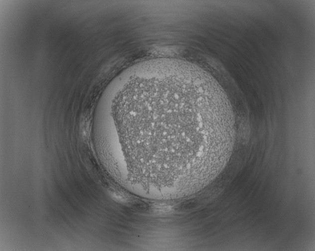 X0000080790701200701122148