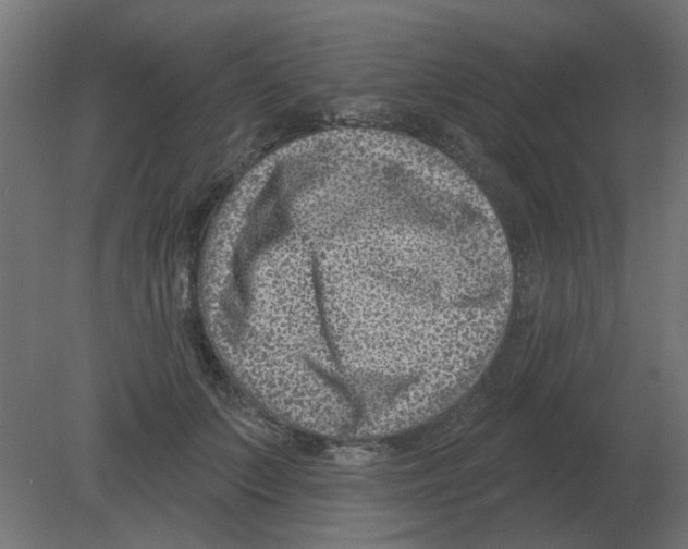 X0000080790703200701122148