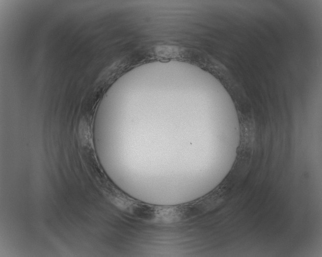 X0000080790705200701122148