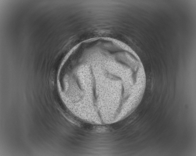 X0000080790710200701122148