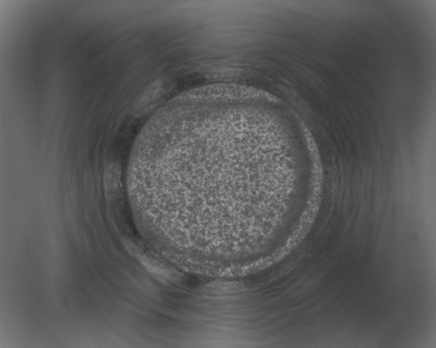 X0000080790711200701122148