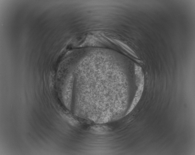 X0000080790712200701122148