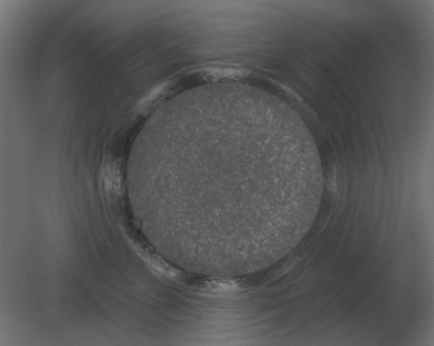 X0000080790715200701122148