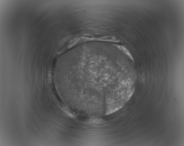 X0000080790716200701122148