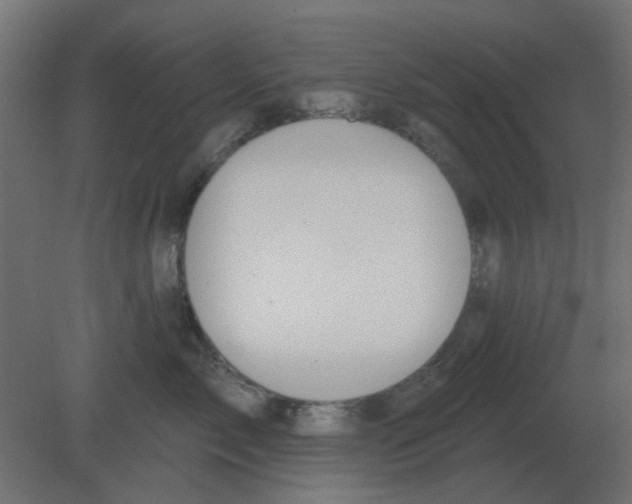 X0000080790717200701122148