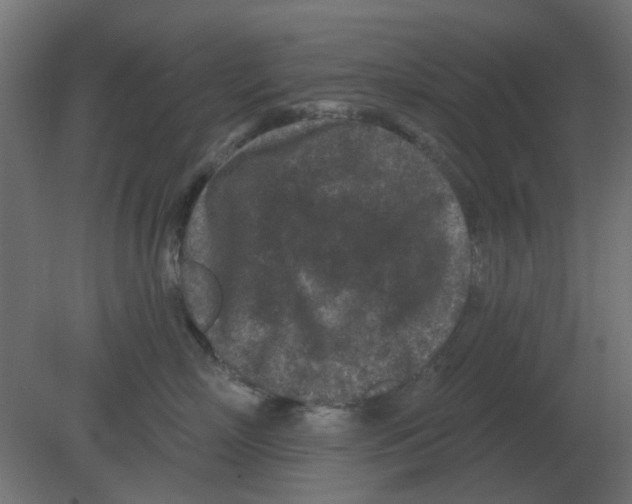 X0000080790718200701122148