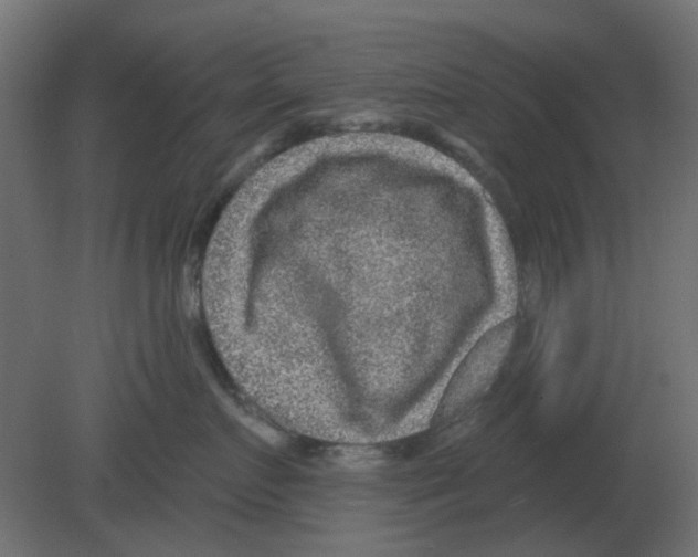 X0000080790719200701122148