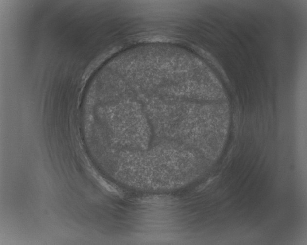 X0000080790721200701122147