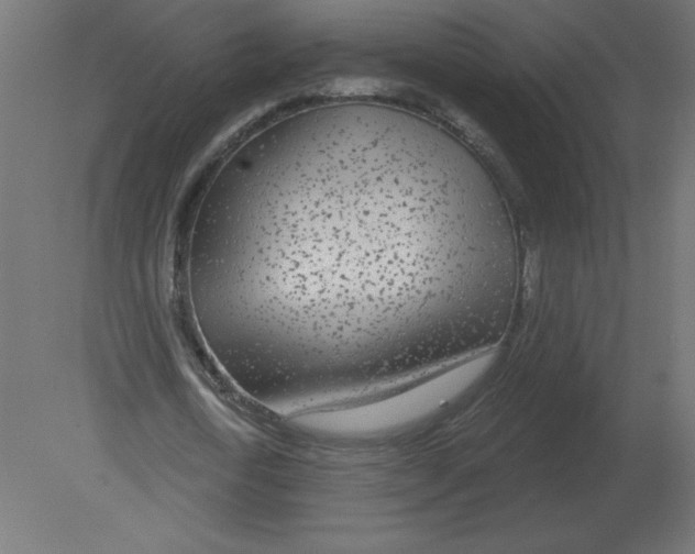 X0000080790722200701122147