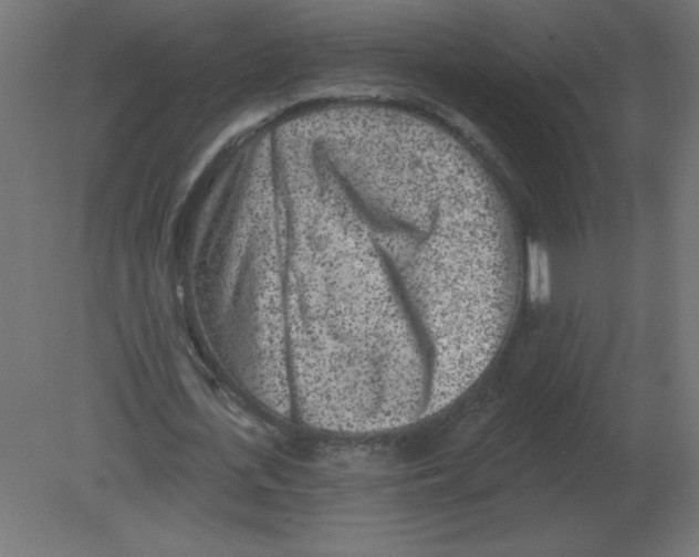 X0000080790723200701122147