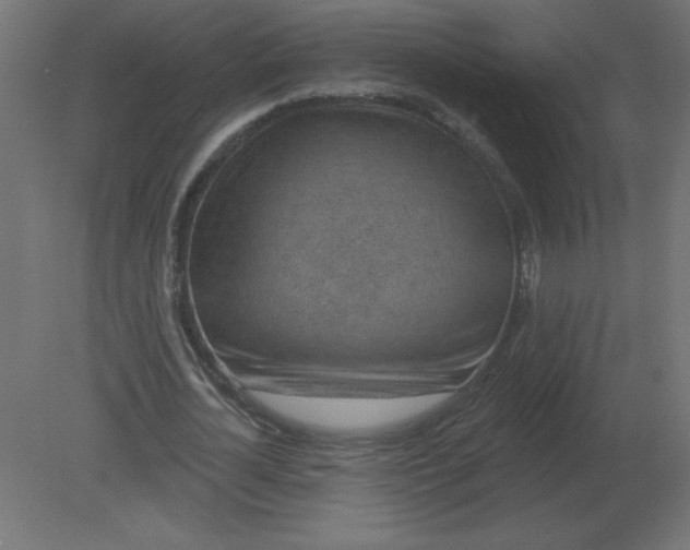 X0000080790724200701122147