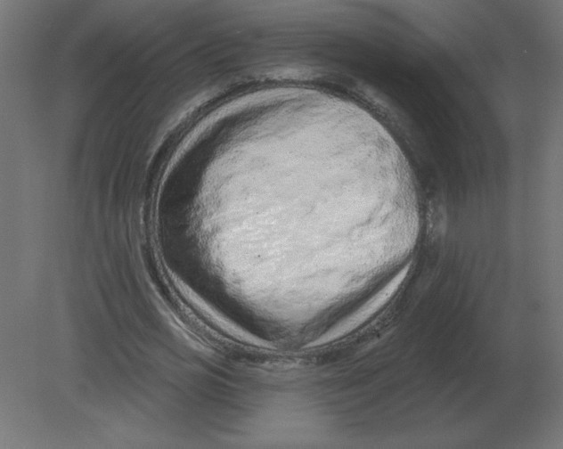 X0000080790725200701122147