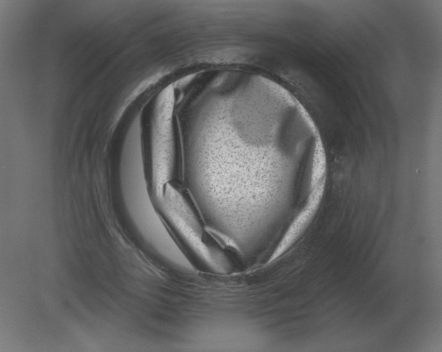 X0000080790727200701122147