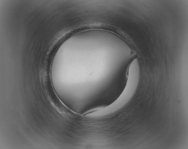 X0000080790728200701122147