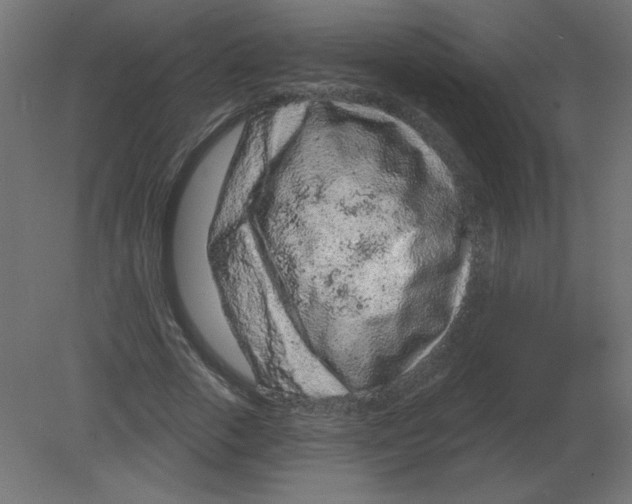 X0000080790729200701122147