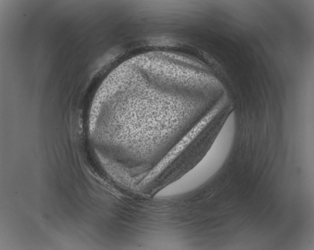 X0000080790731200701122147