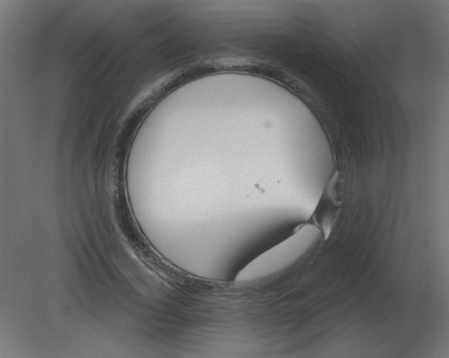 X0000080790732200701122147