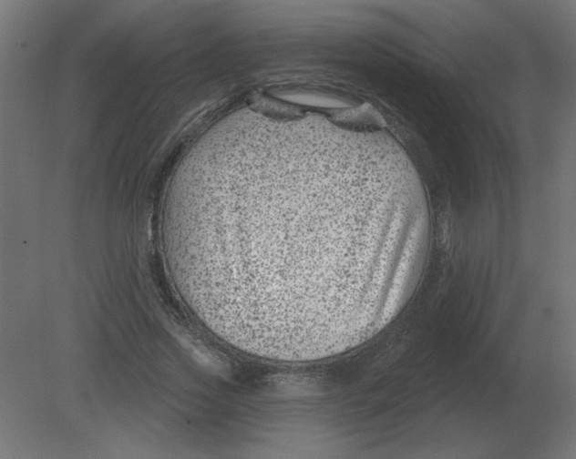 X0000080790733200701122147