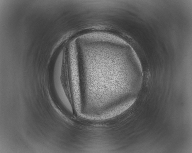 X0000080790734200701122147