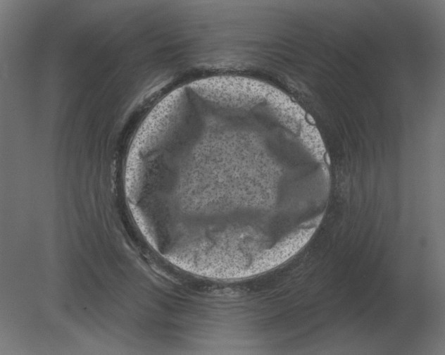 X0000080790735200701122147