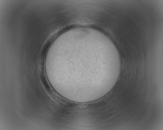 X0000080790736200701122147