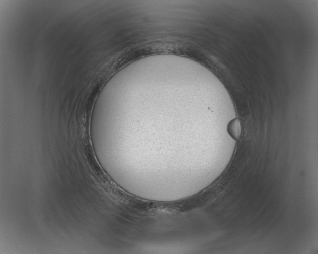 X0000080790737200701122147