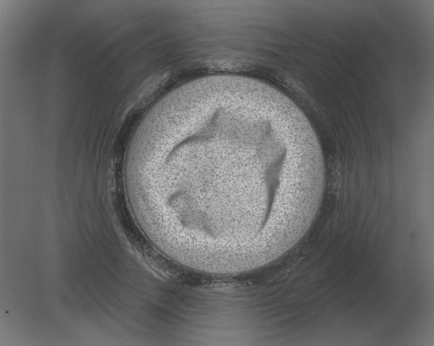 X0000080790738200701122147