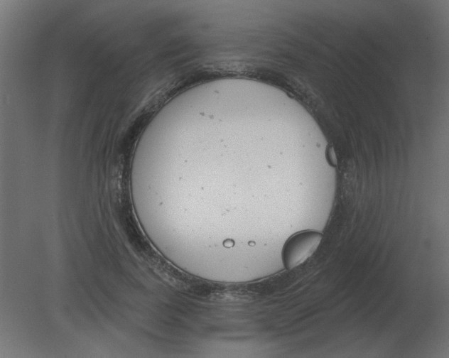 X0000080790739200701122147